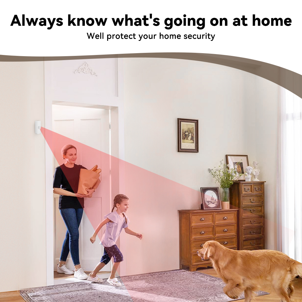 Tuya Smart PIR Motion Sensor S - огляд і ціна Smart Home Monitor