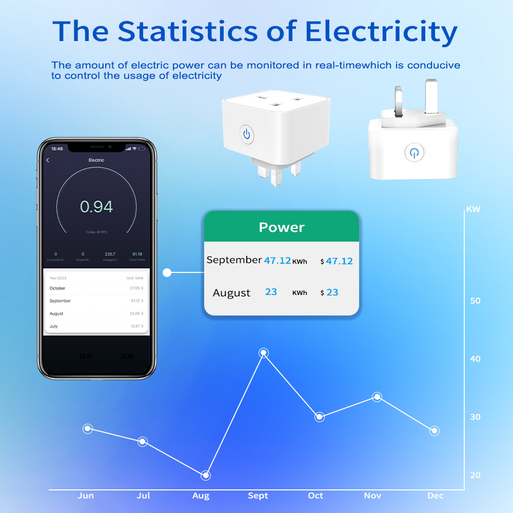 Tuya Smart Socket 16A/20A WiFi - огляд і ціна Tuya Wifi Socket