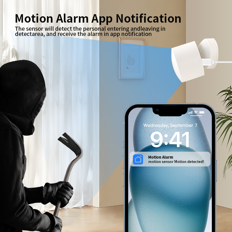 Zigbee or Wi-Fi Human Presence - огляд і ціна Smart Home Monitor