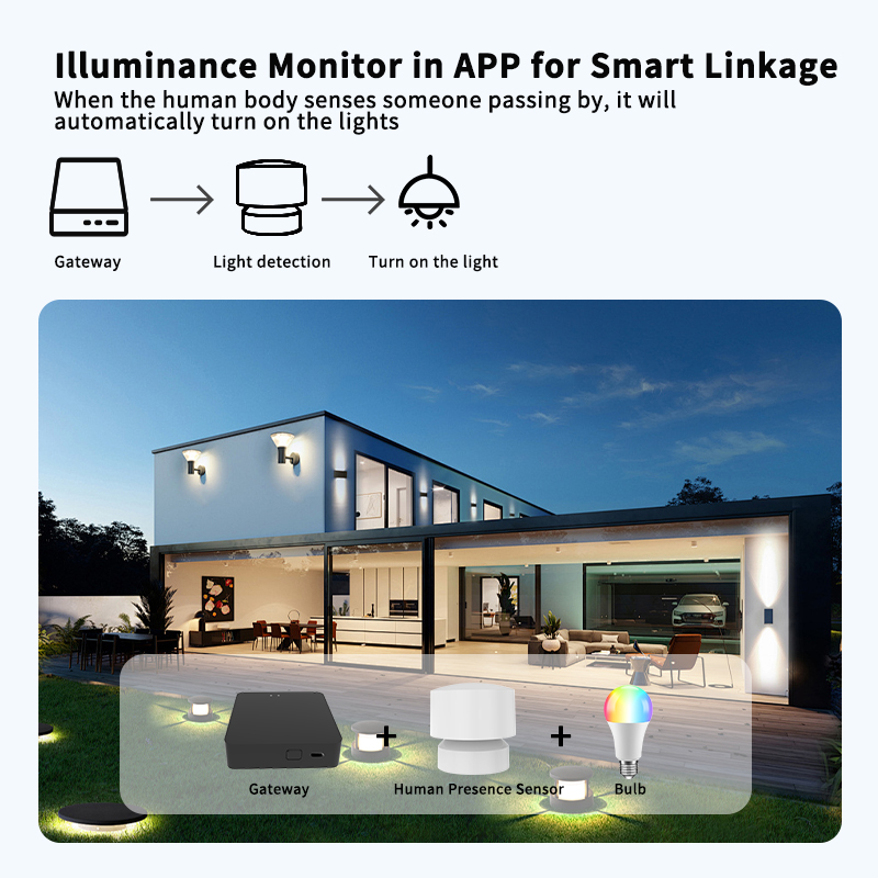 Zigbee or Wi-Fi Human Presence - огляд і ціна Smart Home Monitor