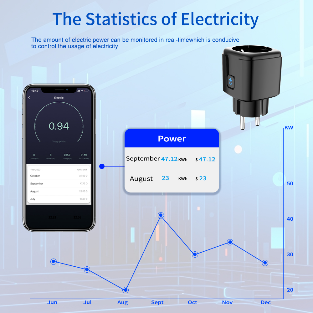 Tuya Smart Socket WiFi Remote  - огляд і ціна Tuya Wifi Socket